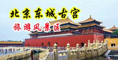 拔插视频免费网站入口app中国北京-东城古宫旅游风景区